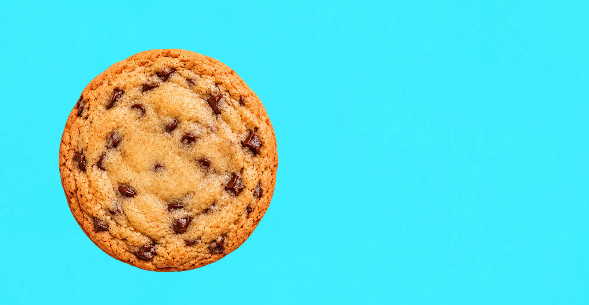 Em's Cafe chocolate chip cookie on a bright aqua background